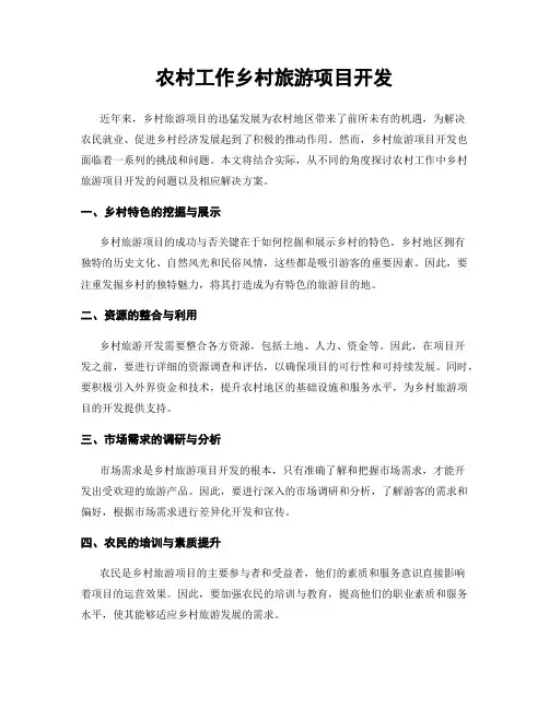 农村工作乡村旅游项目开发