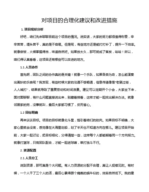 对项目的合理化建议和改进措施