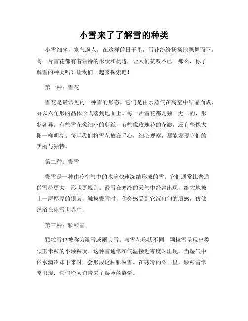 小雪来了了解雪的种类