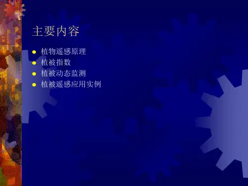 遥感图像解译原理与方法
