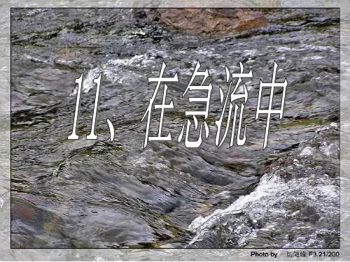 小学语文六上《第11课在急流中》+PPT课件