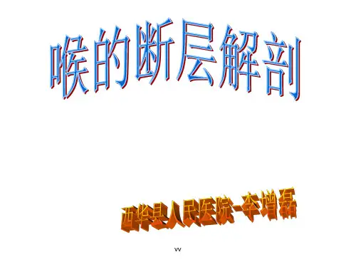 喉的CT解剖.ppt