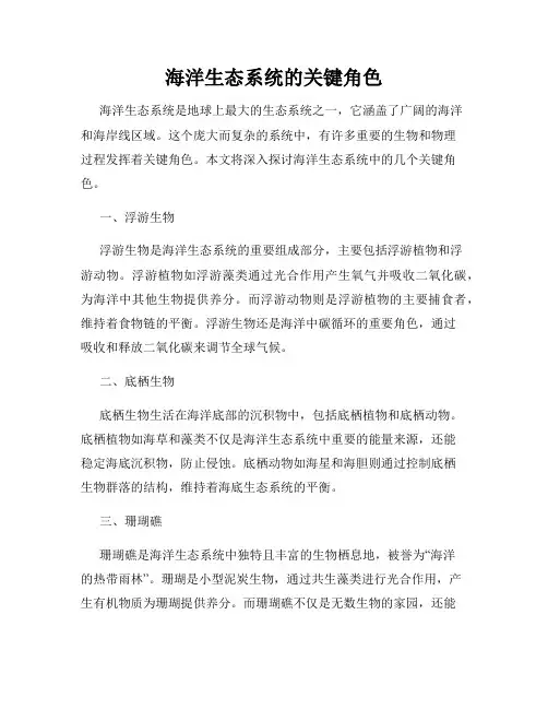 海洋生态系统的关键角色