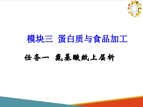蛋白质—氨基酸纸上层析(食品生物化学课件)