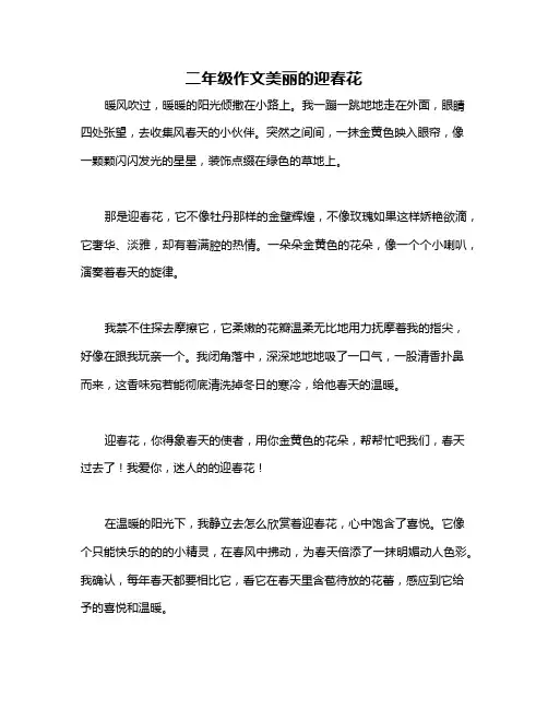 二年级作文美丽的迎春花