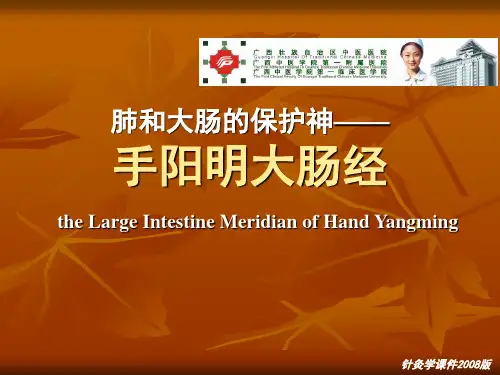 手阳明大肠经课件.ppt