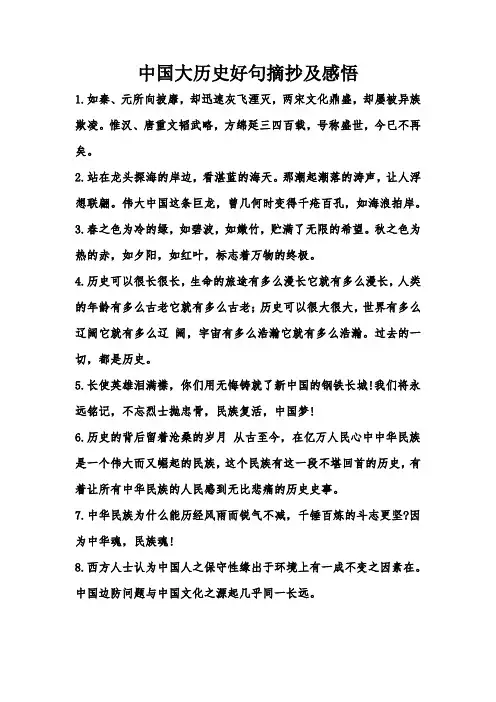 中国大历史好句摘抄及感悟