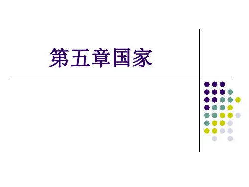 大一政治学导论第五章