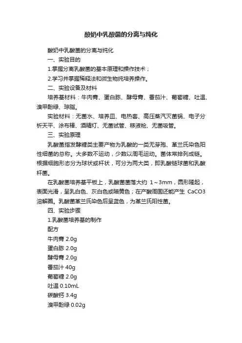 酸奶中乳酸菌的分离与纯化