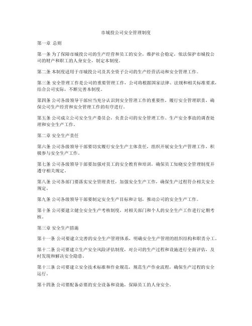 市城投公司安全管理制度