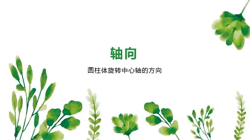 轴向    
