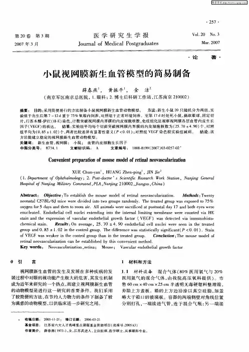 小鼠视网膜新生血管模型的简易制备
