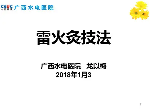 雷火灸技法 PPT课件