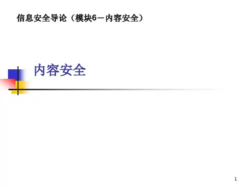 信息安全导论内容安全
