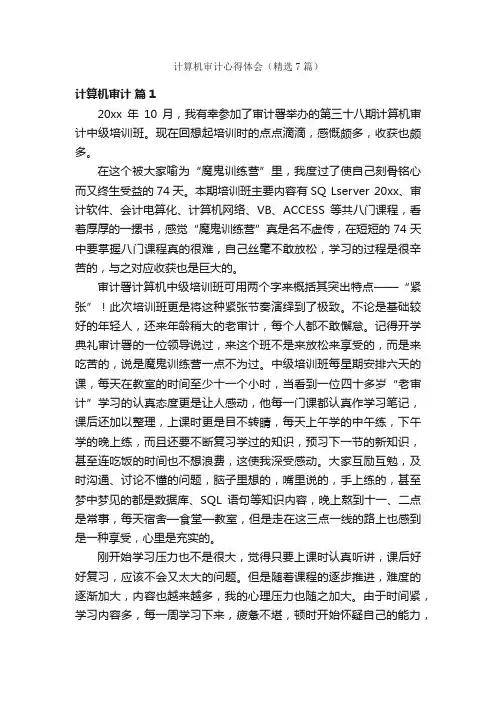 计算机审计心得体会（精选7篇）