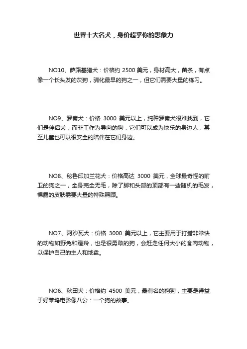 世界十大名犬，身价超乎你的想象力