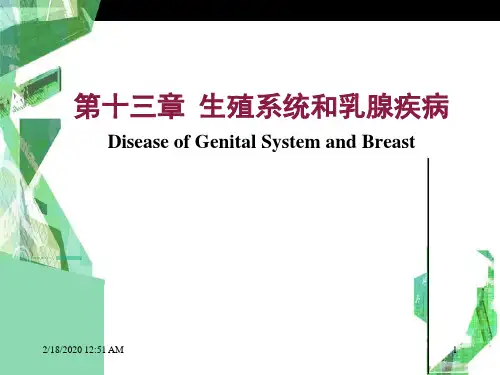 病理学-生殖系统疾病