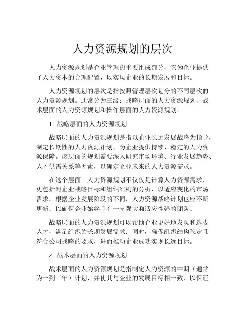 人力资源规划的层次