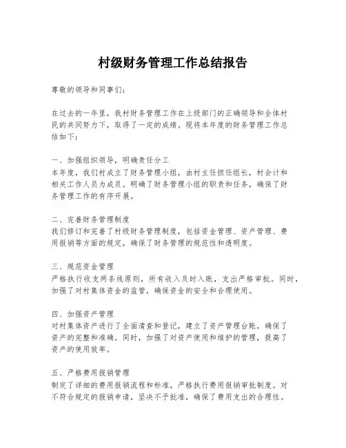 村级财务管理工作总结报告
