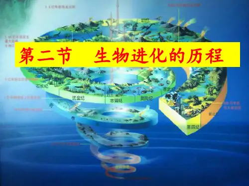 2020年春鲁科版(五四学制)八年级生物下册8.3.2生物进化的历程课件(共28张PPT)