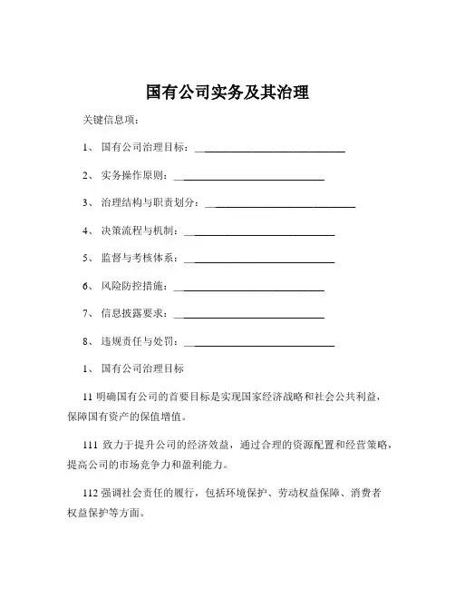 国有公司实务及其治理