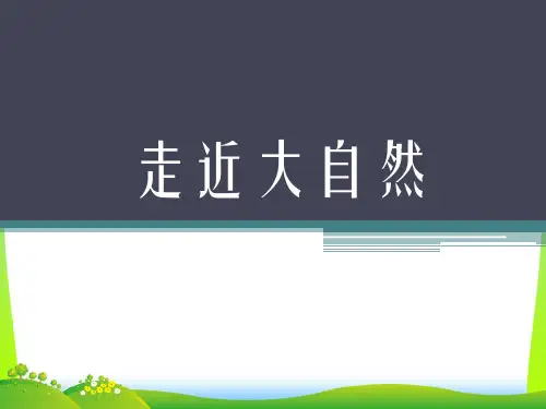 人教版一年级美术：《走近大自然》课件4.ppt