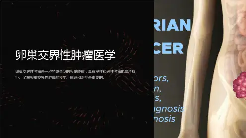 卵巢交界性肿瘤医学