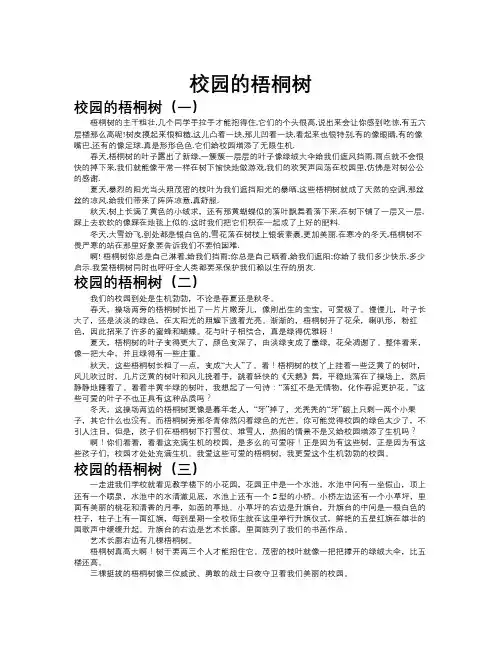 校园的梧桐树作文共九篇