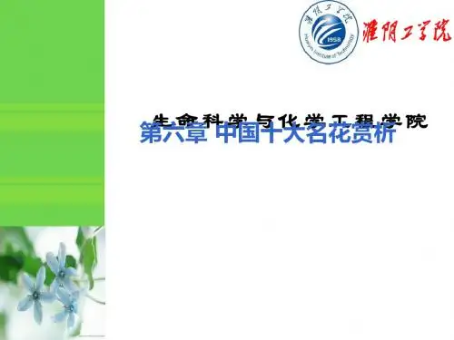 花卉欣赏与健康中国十大名花