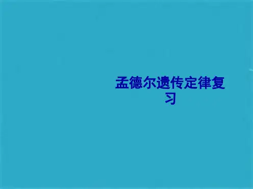 孟德尔遗传定律复习ppt课件(共29张PPT)