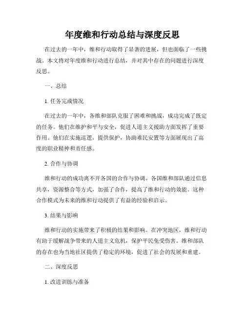 年度维和行动总结与深度反思