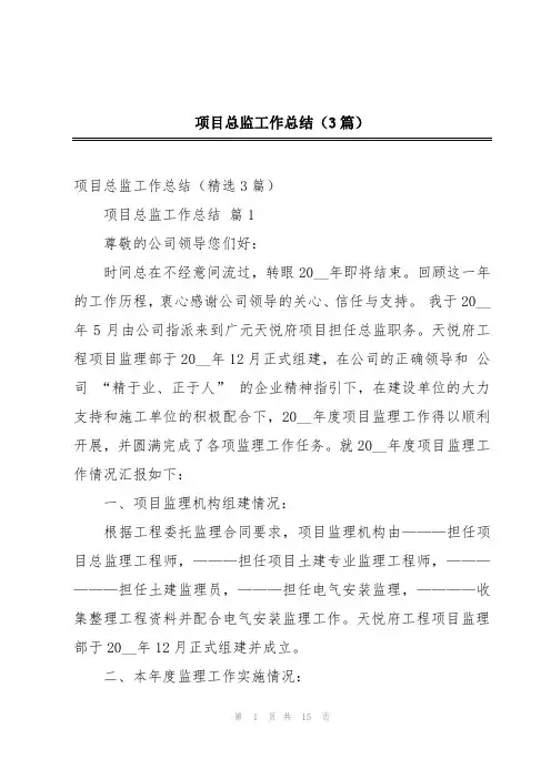 项目总监工作总结(3篇)