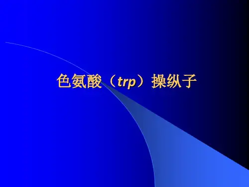 第六章-色氨酸(trp)操纵子3