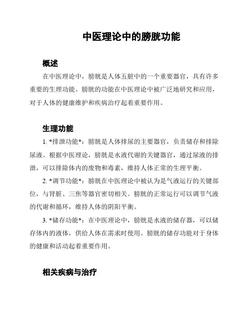 中医理论中的膀胱功能