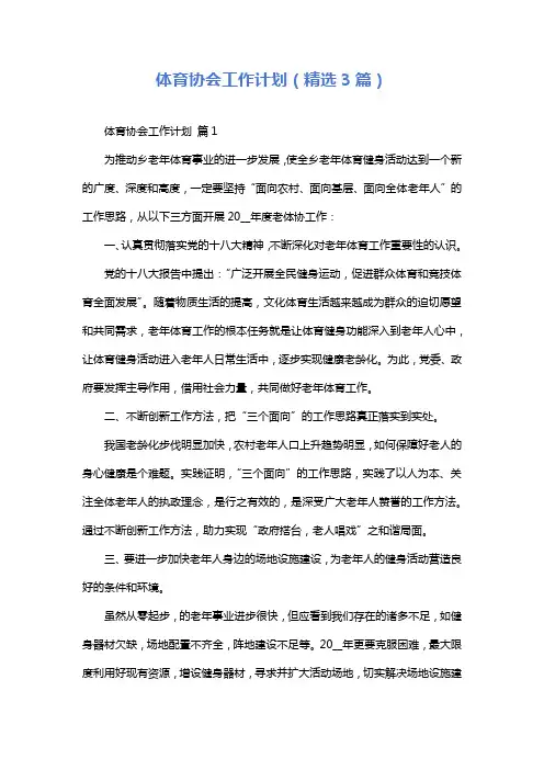 体育协会工作计划(精选3篇)