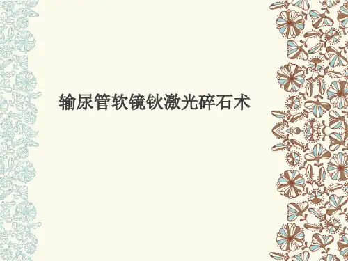 输尿管软镜钬激光碎石术