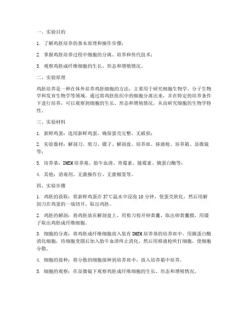 鸡胚的实验报告