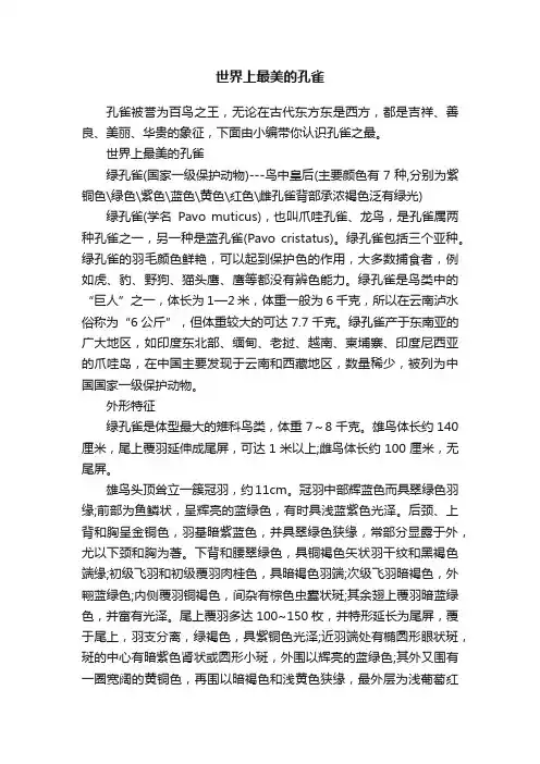 世界上最美的孔雀