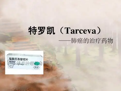 特罗凯