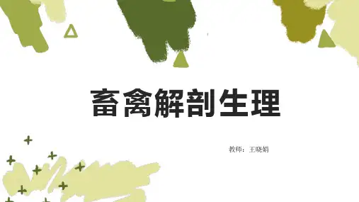 畜禽解剖生理0绪论