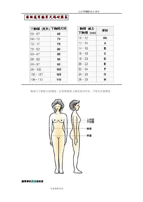 国际通用胸罩尺码对照表和他