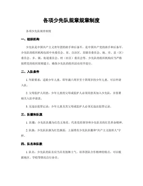各项少先队规章规章制度