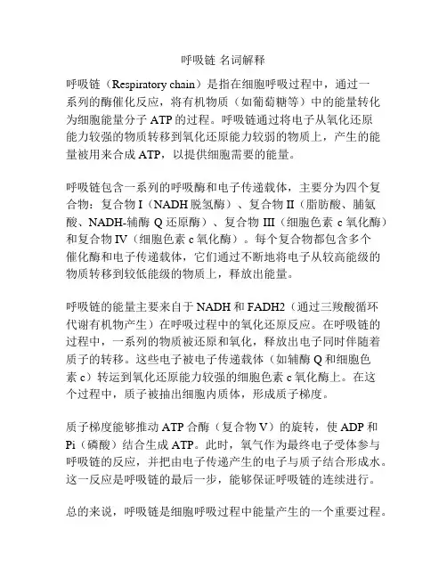 呼吸链 名词解释