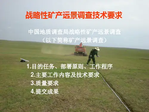 区域地质调查  十一章 战略性矿产远景区调查要求(12.19)