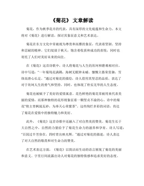 《菊花》 文章解读
