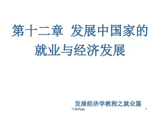 发展经济学第十二章