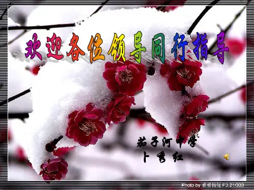 日历中的方程课件