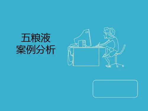 五粮液案例分析资料