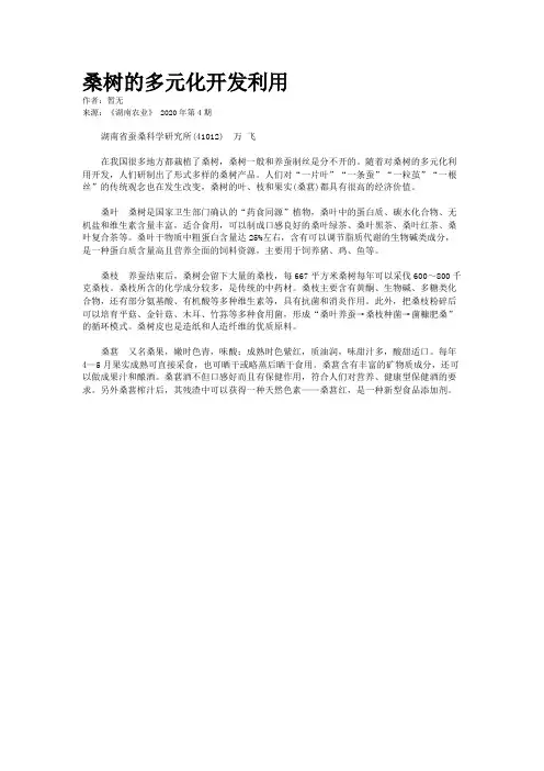 桑树的多元化开发利用