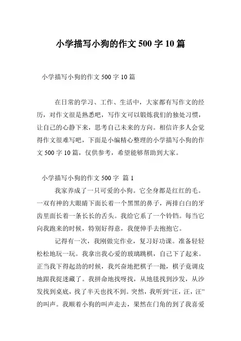 小学描写小狗的作文500字10篇